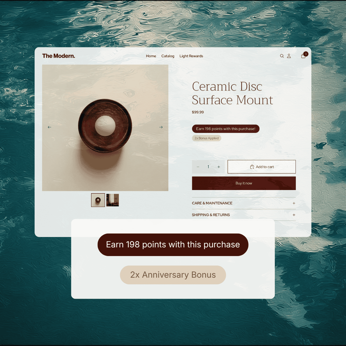 Bonus loyalty point campaigns