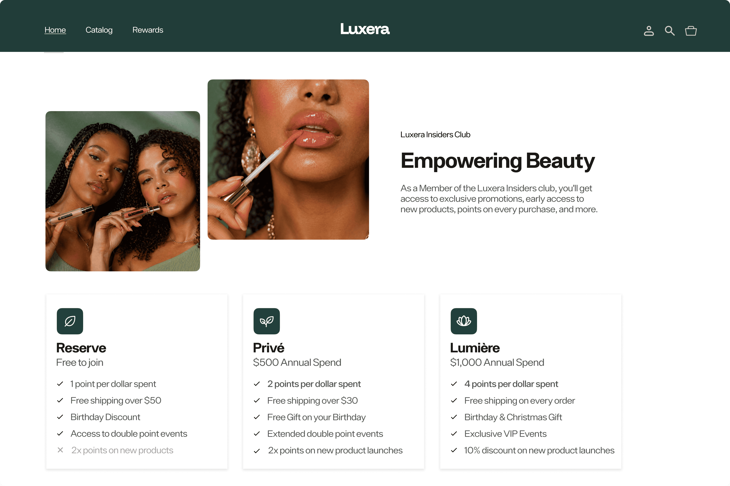 VIP tier program with customer levels